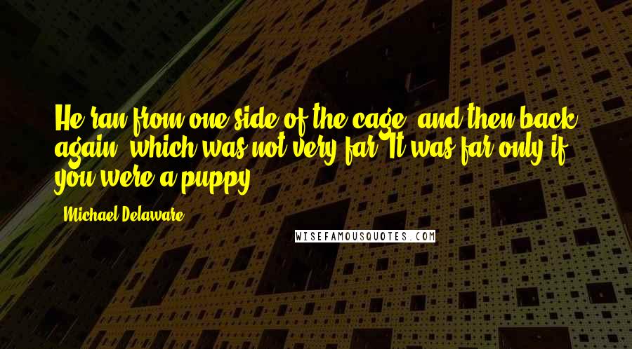 Michael Delaware Quotes: He ran from one side of the cage, and then back again, which was not very far. It was far only if you were a puppy.