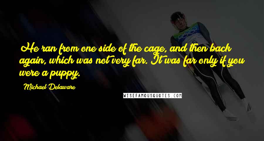 Michael Delaware Quotes: He ran from one side of the cage, and then back again, which was not very far. It was far only if you were a puppy.