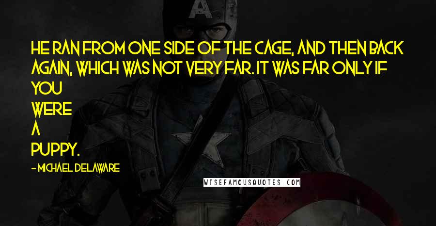 Michael Delaware Quotes: He ran from one side of the cage, and then back again, which was not very far. It was far only if you were a puppy.