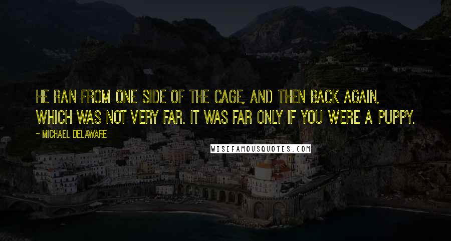 Michael Delaware Quotes: He ran from one side of the cage, and then back again, which was not very far. It was far only if you were a puppy.