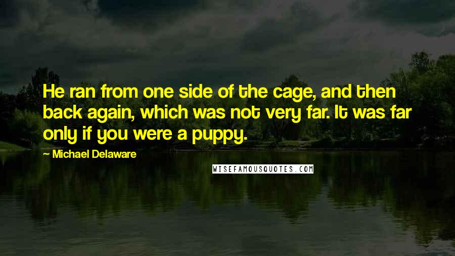 Michael Delaware Quotes: He ran from one side of the cage, and then back again, which was not very far. It was far only if you were a puppy.