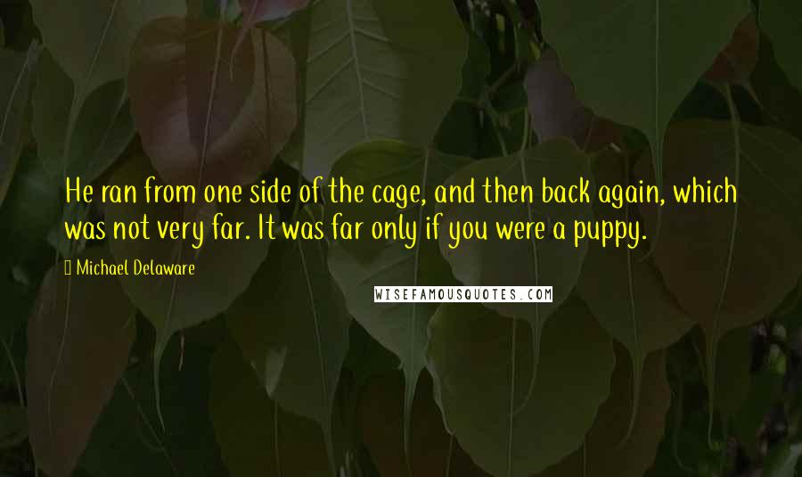 Michael Delaware Quotes: He ran from one side of the cage, and then back again, which was not very far. It was far only if you were a puppy.