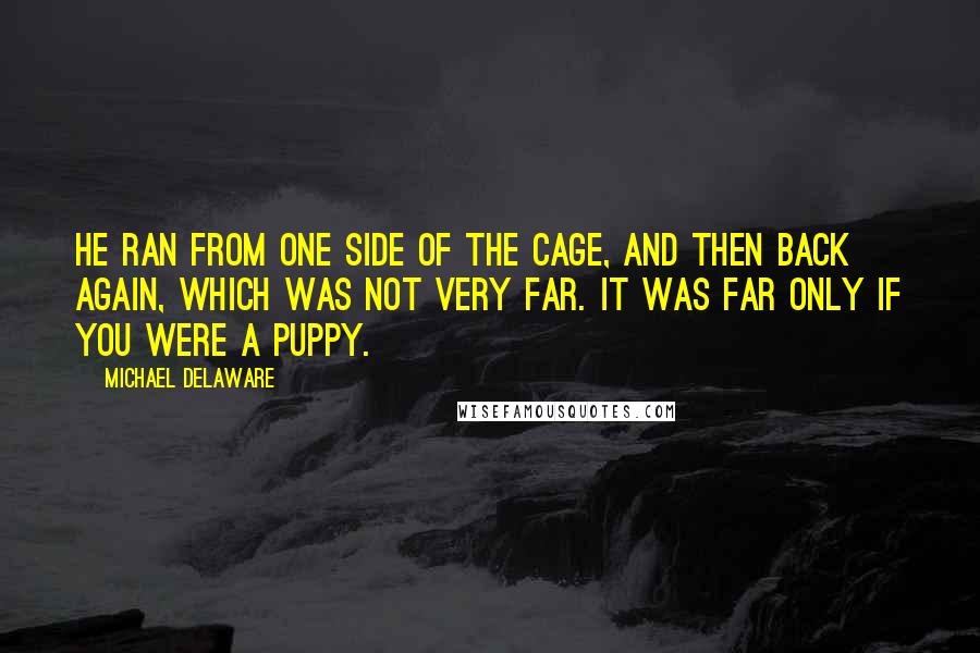 Michael Delaware Quotes: He ran from one side of the cage, and then back again, which was not very far. It was far only if you were a puppy.