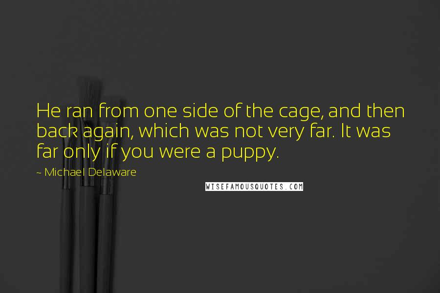 Michael Delaware Quotes: He ran from one side of the cage, and then back again, which was not very far. It was far only if you were a puppy.