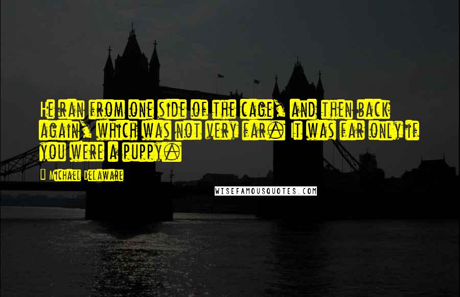 Michael Delaware Quotes: He ran from one side of the cage, and then back again, which was not very far. It was far only if you were a puppy.