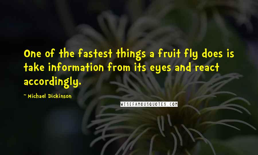 Michael Dickinson Quotes: One of the fastest things a fruit fly does is take information from its eyes and react accordingly.