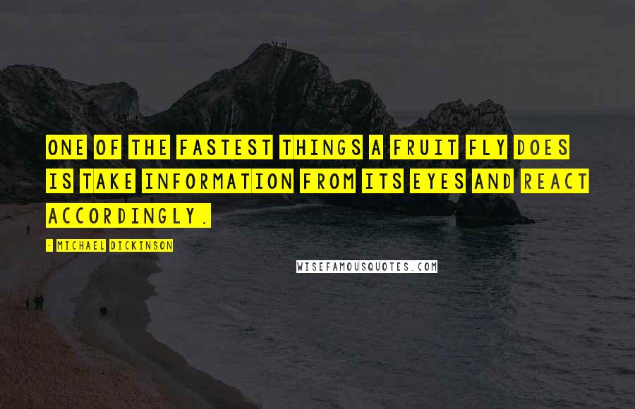 Michael Dickinson Quotes: One of the fastest things a fruit fly does is take information from its eyes and react accordingly.