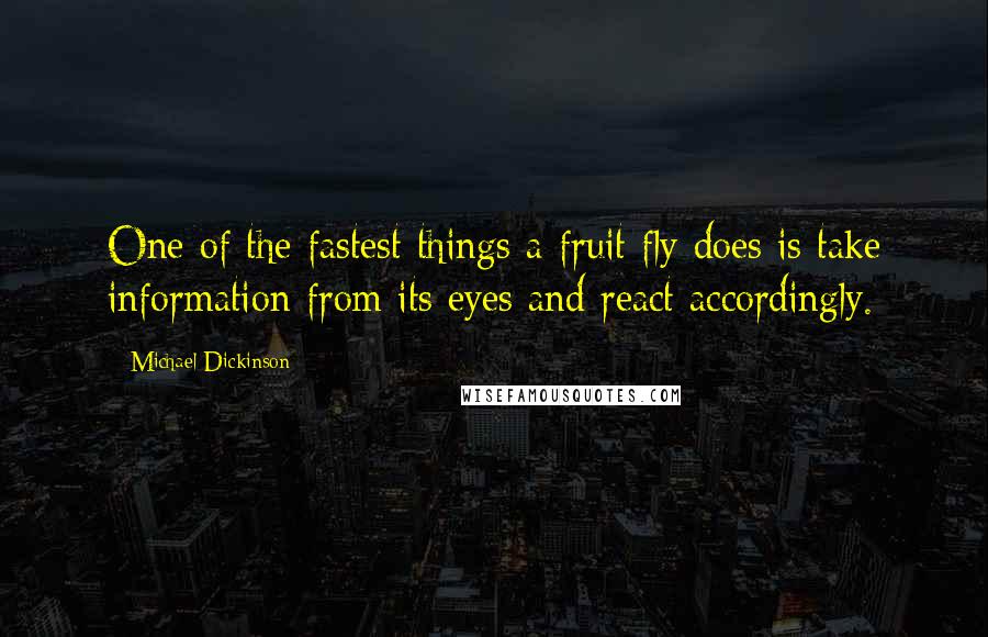 Michael Dickinson Quotes: One of the fastest things a fruit fly does is take information from its eyes and react accordingly.