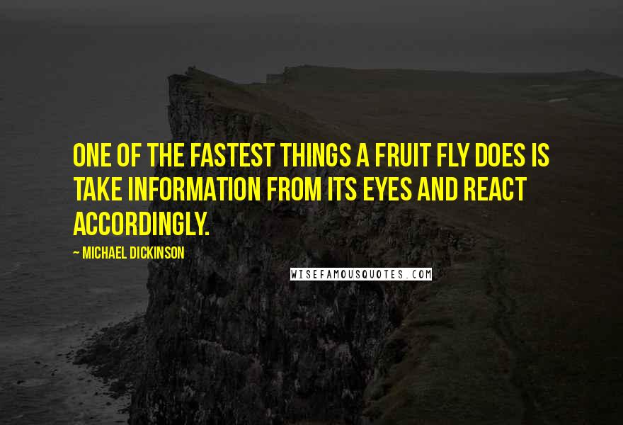 Michael Dickinson Quotes: One of the fastest things a fruit fly does is take information from its eyes and react accordingly.