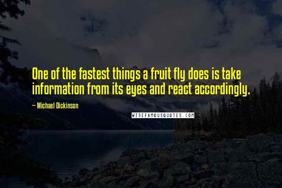 Michael Dickinson Quotes: One of the fastest things a fruit fly does is take information from its eyes and react accordingly.