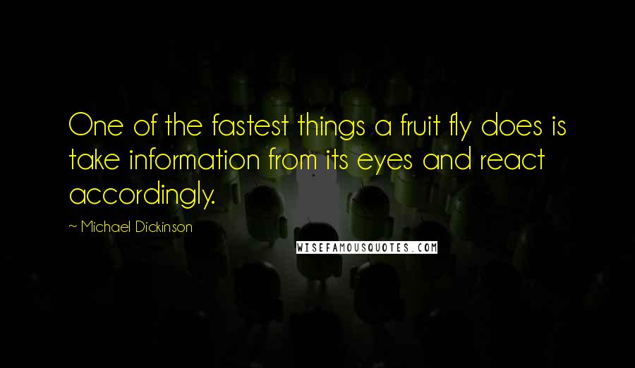 Michael Dickinson Quotes: One of the fastest things a fruit fly does is take information from its eyes and react accordingly.