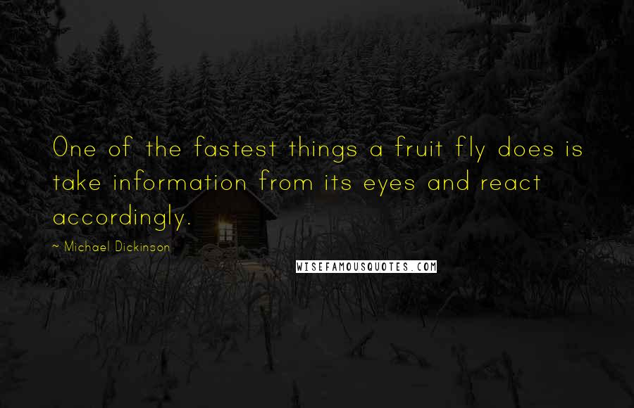 Michael Dickinson Quotes: One of the fastest things a fruit fly does is take information from its eyes and react accordingly.