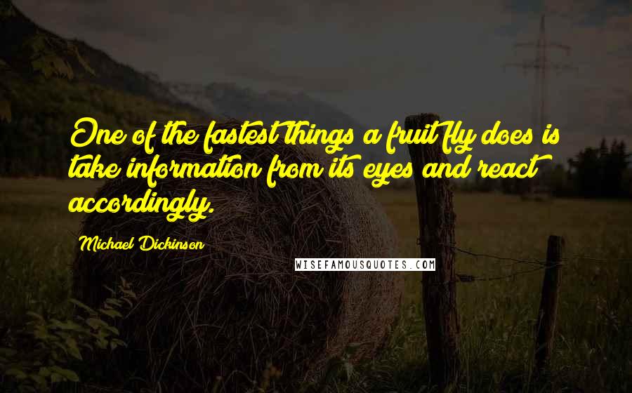 Michael Dickinson Quotes: One of the fastest things a fruit fly does is take information from its eyes and react accordingly.