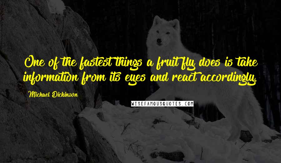 Michael Dickinson Quotes: One of the fastest things a fruit fly does is take information from its eyes and react accordingly.