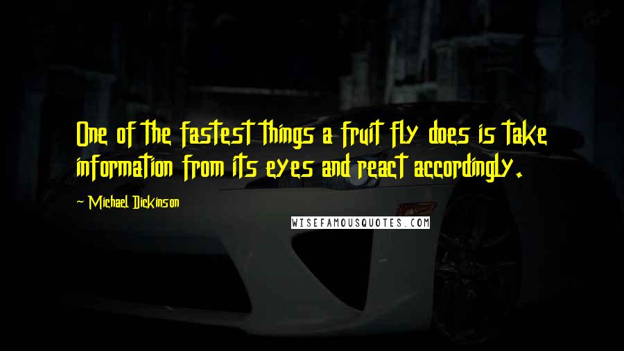 Michael Dickinson Quotes: One of the fastest things a fruit fly does is take information from its eyes and react accordingly.