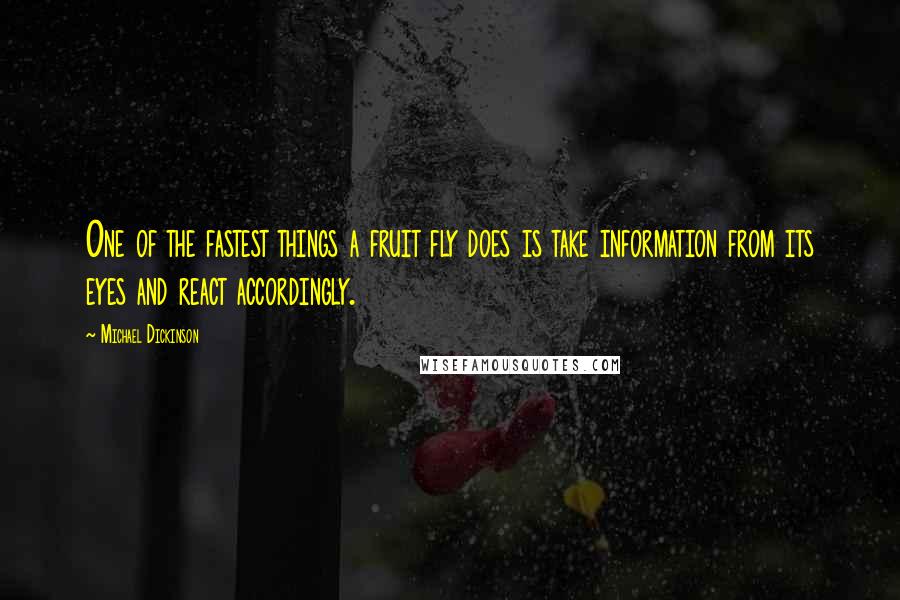 Michael Dickinson Quotes: One of the fastest things a fruit fly does is take information from its eyes and react accordingly.