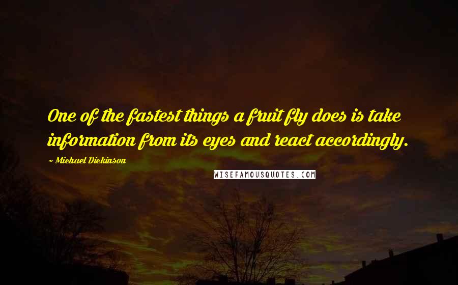 Michael Dickinson Quotes: One of the fastest things a fruit fly does is take information from its eyes and react accordingly.