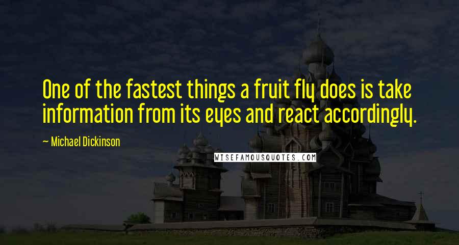 Michael Dickinson Quotes: One of the fastest things a fruit fly does is take information from its eyes and react accordingly.