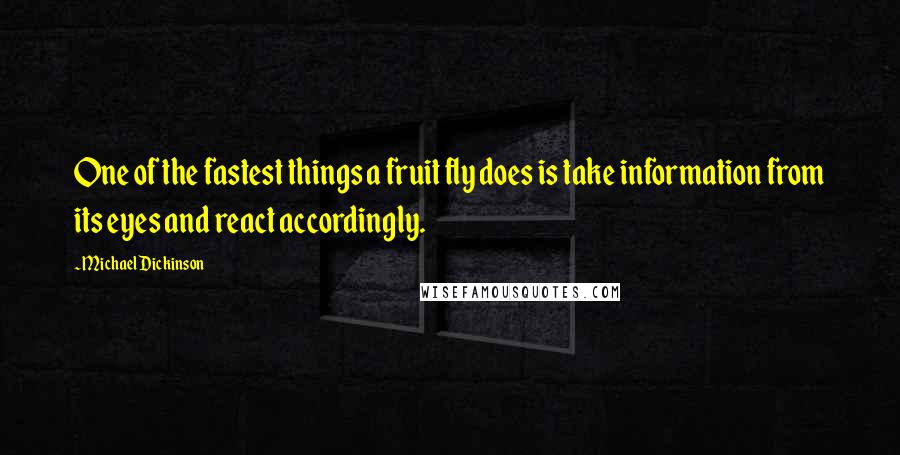 Michael Dickinson Quotes: One of the fastest things a fruit fly does is take information from its eyes and react accordingly.