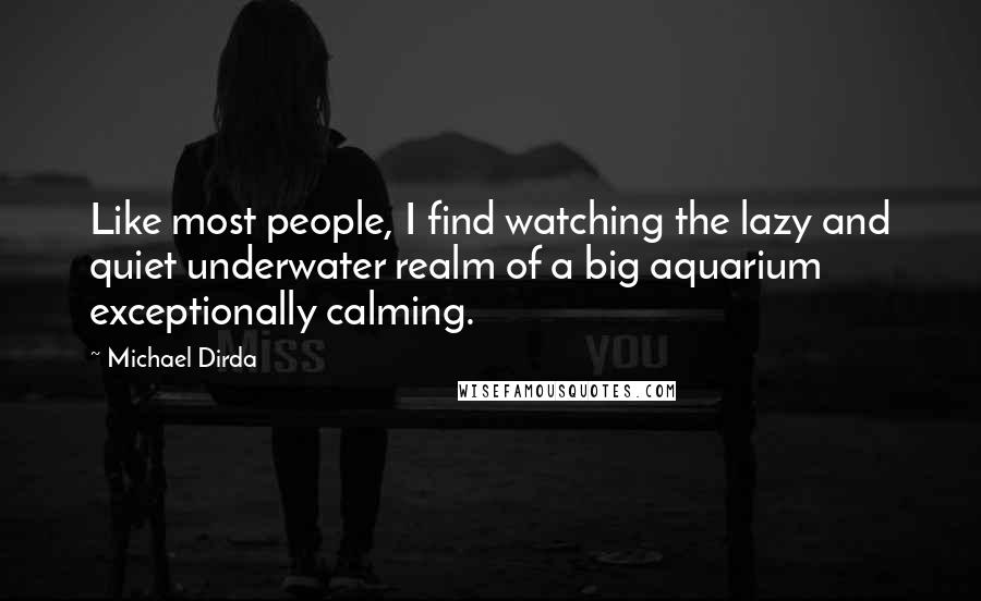 Michael Dirda Quotes: Like most people, I find watching the lazy and quiet underwater realm of a big aquarium exceptionally calming.