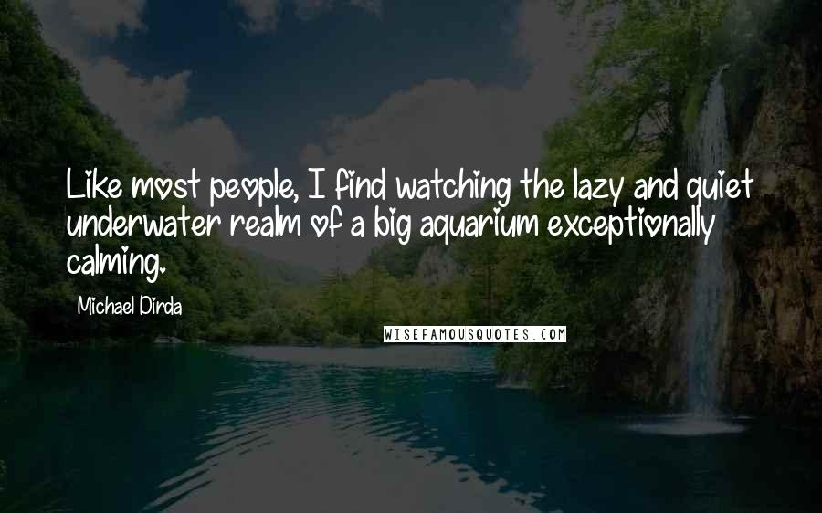 Michael Dirda Quotes: Like most people, I find watching the lazy and quiet underwater realm of a big aquarium exceptionally calming.