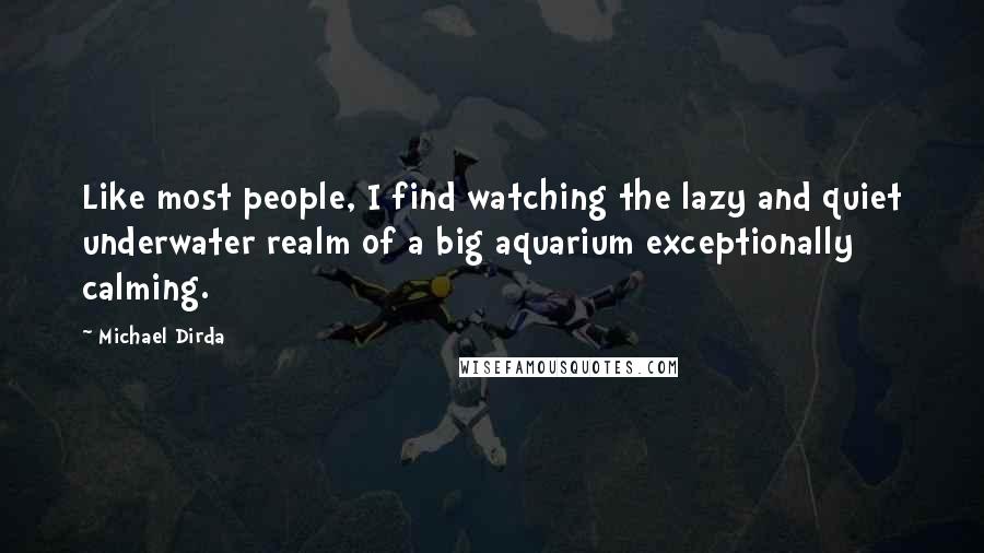 Michael Dirda Quotes: Like most people, I find watching the lazy and quiet underwater realm of a big aquarium exceptionally calming.