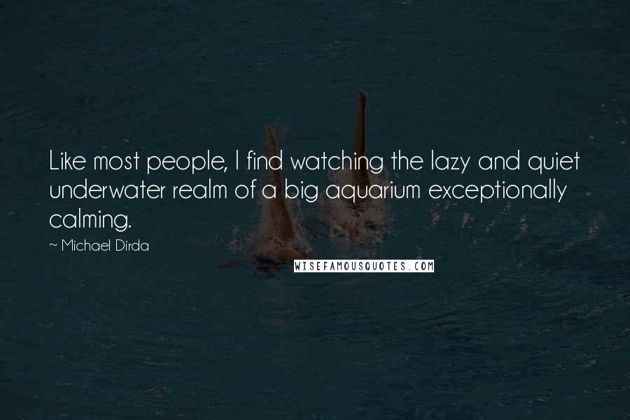 Michael Dirda Quotes: Like most people, I find watching the lazy and quiet underwater realm of a big aquarium exceptionally calming.