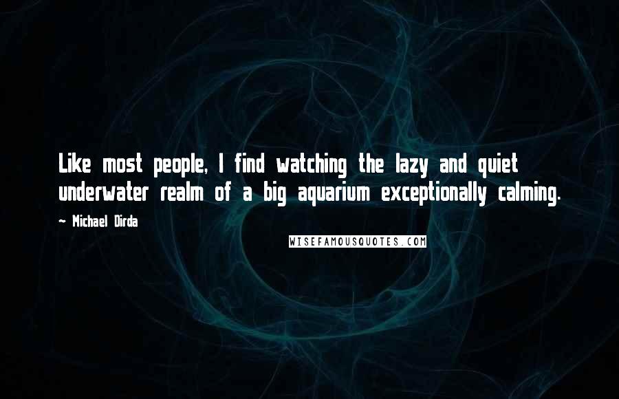 Michael Dirda Quotes: Like most people, I find watching the lazy and quiet underwater realm of a big aquarium exceptionally calming.