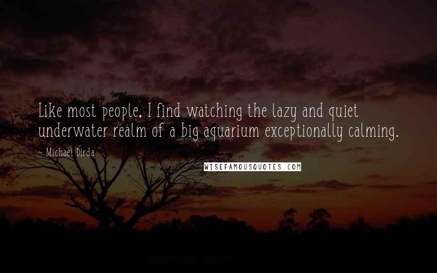 Michael Dirda Quotes: Like most people, I find watching the lazy and quiet underwater realm of a big aquarium exceptionally calming.