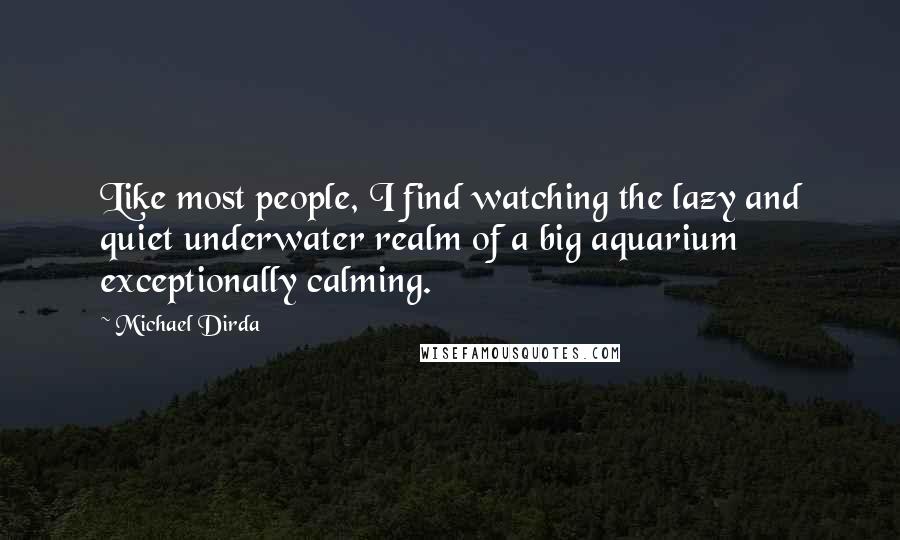 Michael Dirda Quotes: Like most people, I find watching the lazy and quiet underwater realm of a big aquarium exceptionally calming.