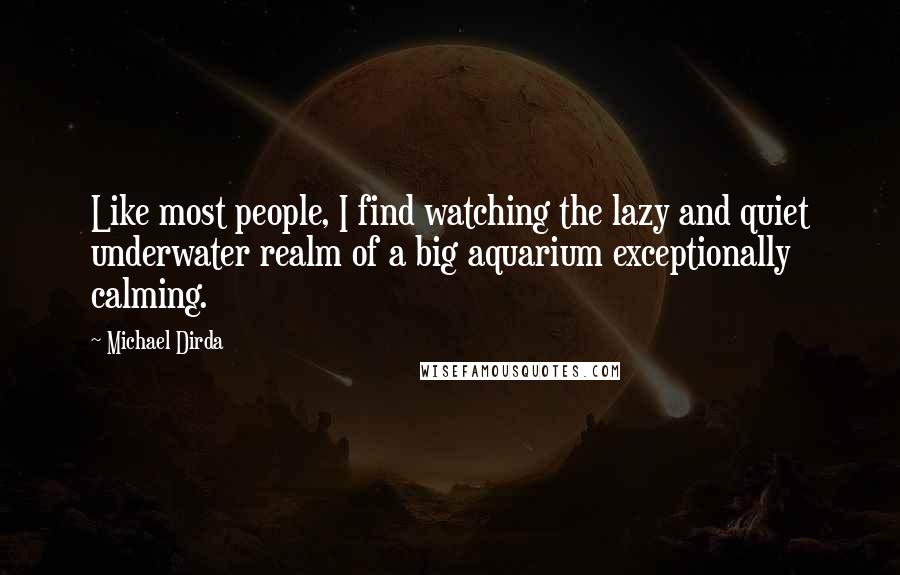 Michael Dirda Quotes: Like most people, I find watching the lazy and quiet underwater realm of a big aquarium exceptionally calming.