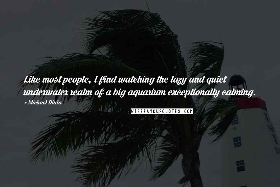 Michael Dirda Quotes: Like most people, I find watching the lazy and quiet underwater realm of a big aquarium exceptionally calming.