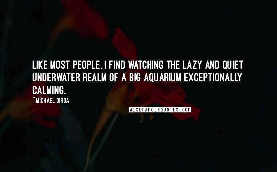 Michael Dirda Quotes: Like most people, I find watching the lazy and quiet underwater realm of a big aquarium exceptionally calming.