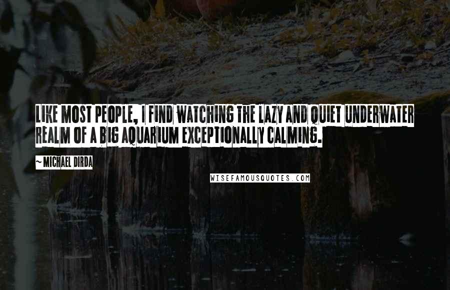 Michael Dirda Quotes: Like most people, I find watching the lazy and quiet underwater realm of a big aquarium exceptionally calming.