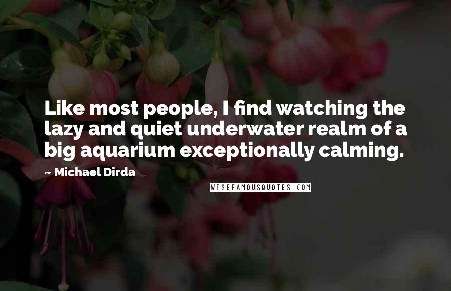 Michael Dirda Quotes: Like most people, I find watching the lazy and quiet underwater realm of a big aquarium exceptionally calming.