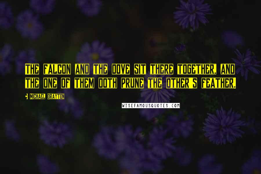 Michael Drayton Quotes: The falcon and the dove sit there together, and the one of them doth prune the other's feather.