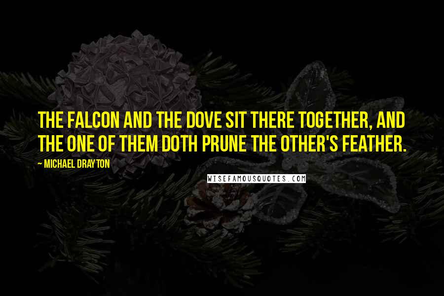 Michael Drayton Quotes: The falcon and the dove sit there together, and the one of them doth prune the other's feather.