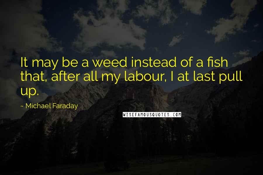 Michael Faraday Quotes: It may be a weed instead of a fish that, after all my labour, I at last pull up.