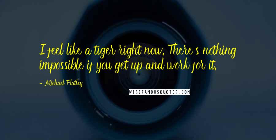 Michael Flatley Quotes: I feel like a tiger right now. There's nothing impossible if you get up and work for it.