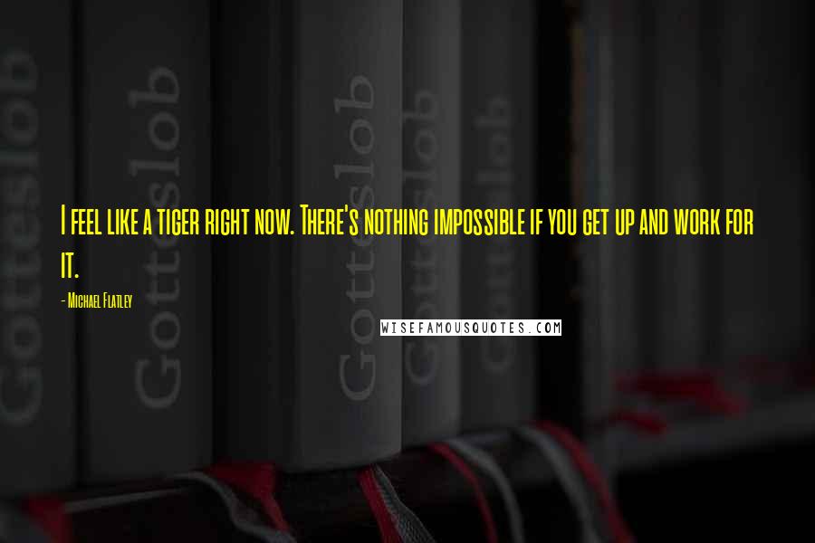 Michael Flatley Quotes: I feel like a tiger right now. There's nothing impossible if you get up and work for it.