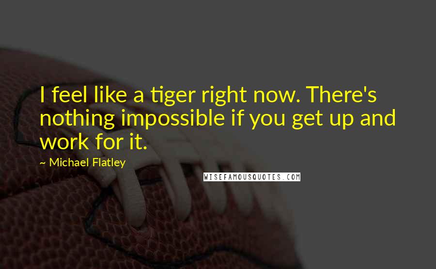 Michael Flatley Quotes: I feel like a tiger right now. There's nothing impossible if you get up and work for it.
