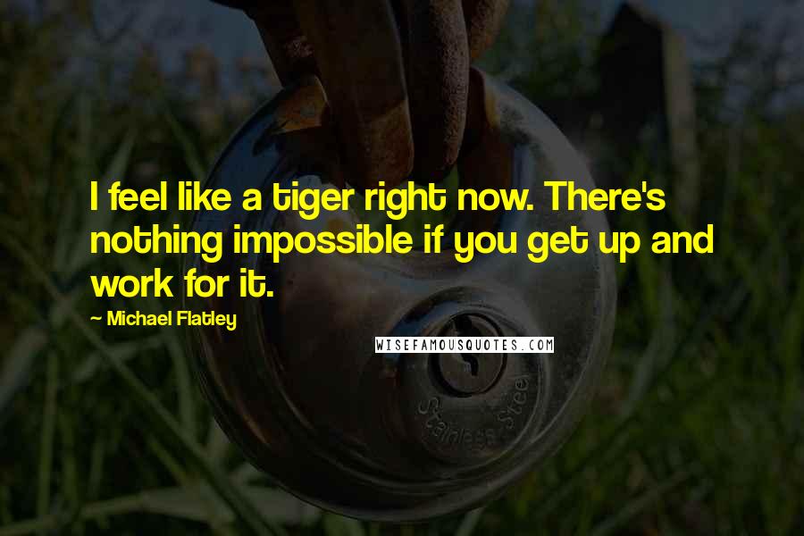 Michael Flatley Quotes: I feel like a tiger right now. There's nothing impossible if you get up and work for it.