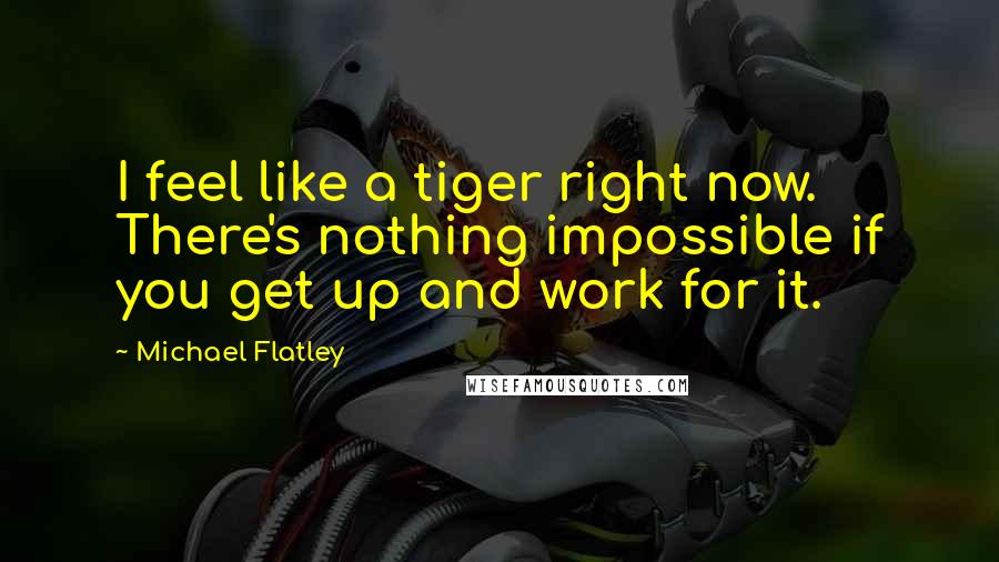 Michael Flatley Quotes: I feel like a tiger right now. There's nothing impossible if you get up and work for it.