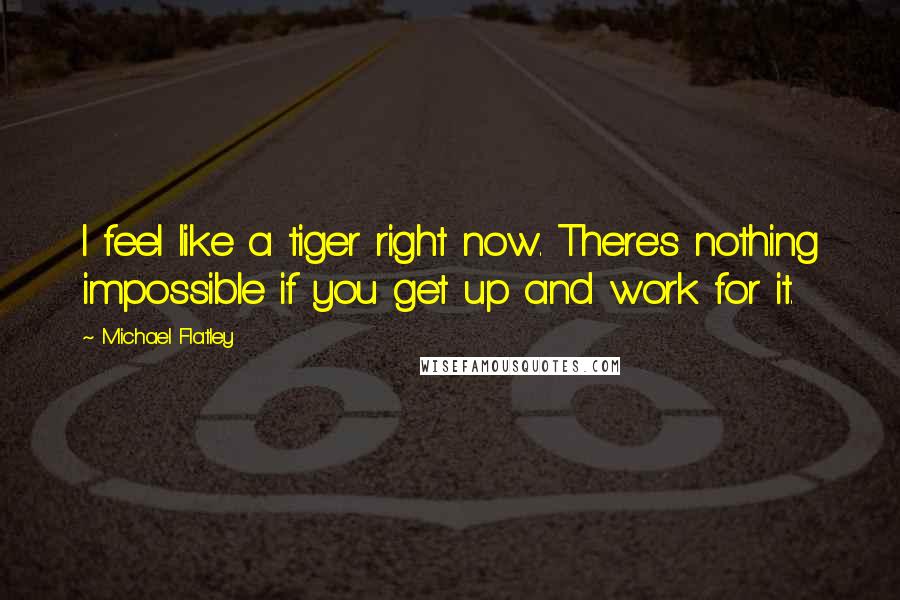 Michael Flatley Quotes: I feel like a tiger right now. There's nothing impossible if you get up and work for it.