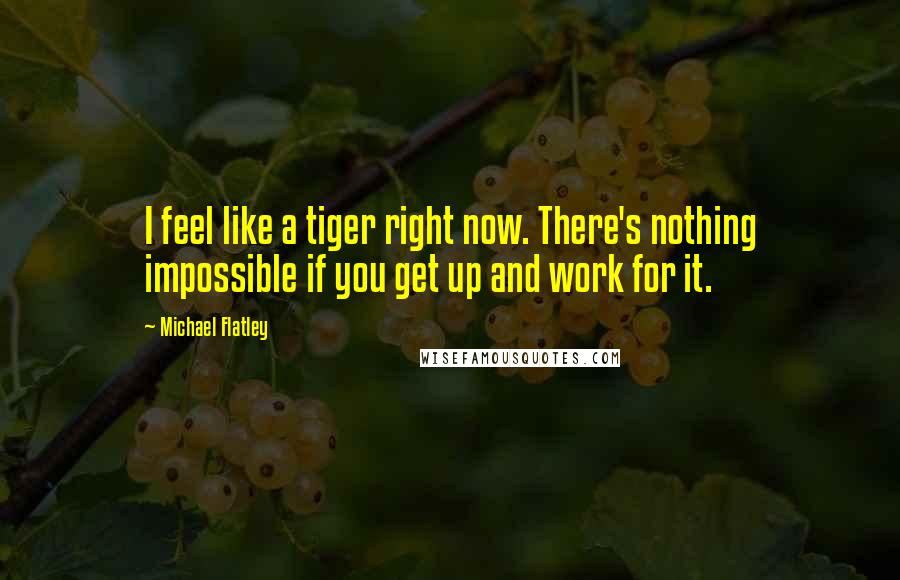 Michael Flatley Quotes: I feel like a tiger right now. There's nothing impossible if you get up and work for it.