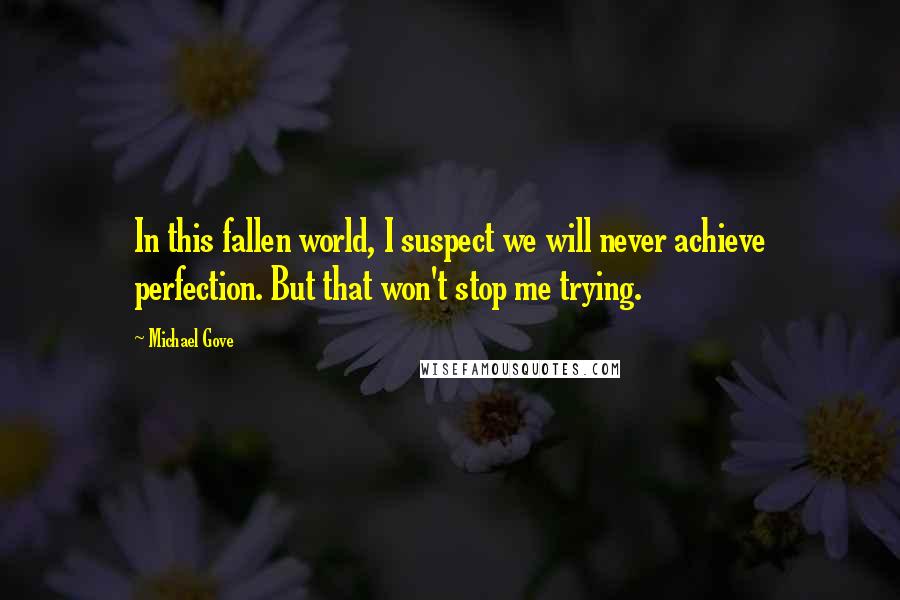 Michael Gove Quotes: In this fallen world, I suspect we will never achieve perfection. But that won't stop me trying.