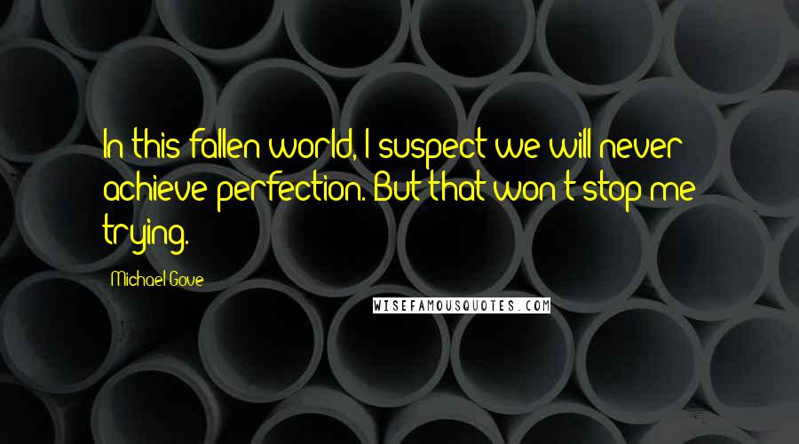 Michael Gove Quotes: In this fallen world, I suspect we will never achieve perfection. But that won't stop me trying.