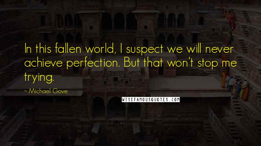 Michael Gove Quotes: In this fallen world, I suspect we will never achieve perfection. But that won't stop me trying.