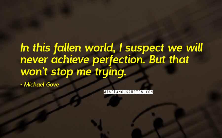Michael Gove Quotes: In this fallen world, I suspect we will never achieve perfection. But that won't stop me trying.