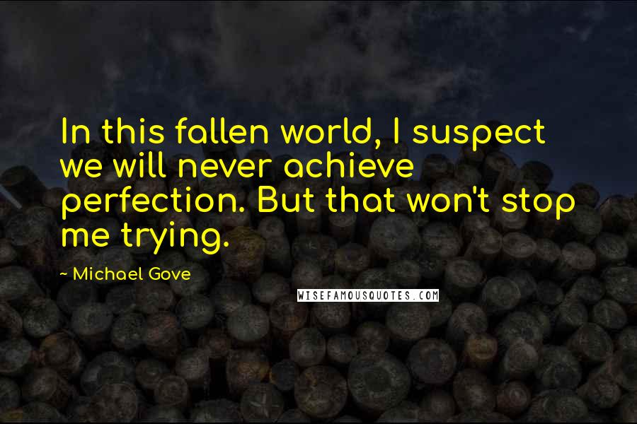 Michael Gove Quotes: In this fallen world, I suspect we will never achieve perfection. But that won't stop me trying.